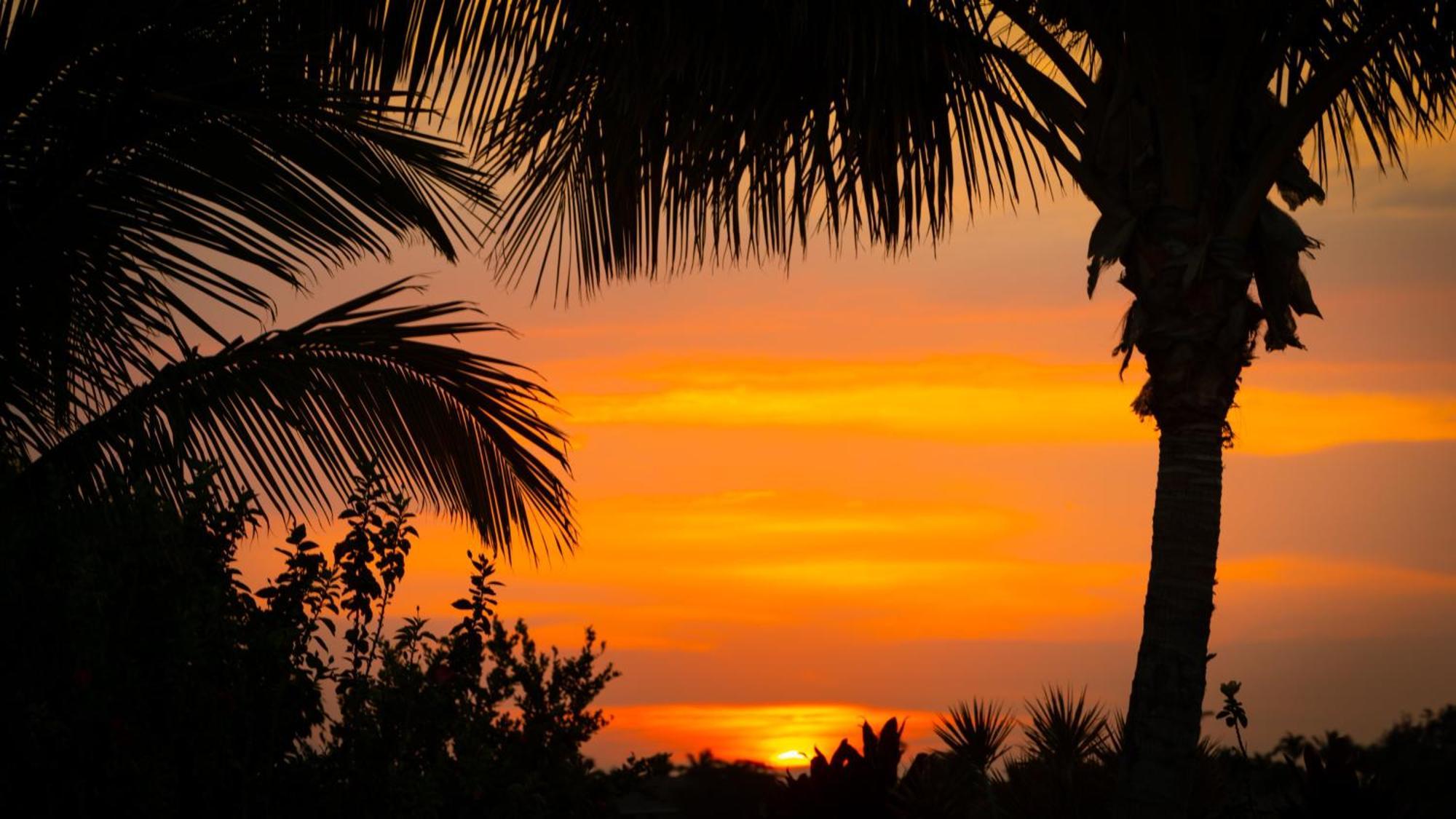 Starry Nights Dreamy 4Br Ainamalu Home With Mountain View Waikoloa Luaran gambar