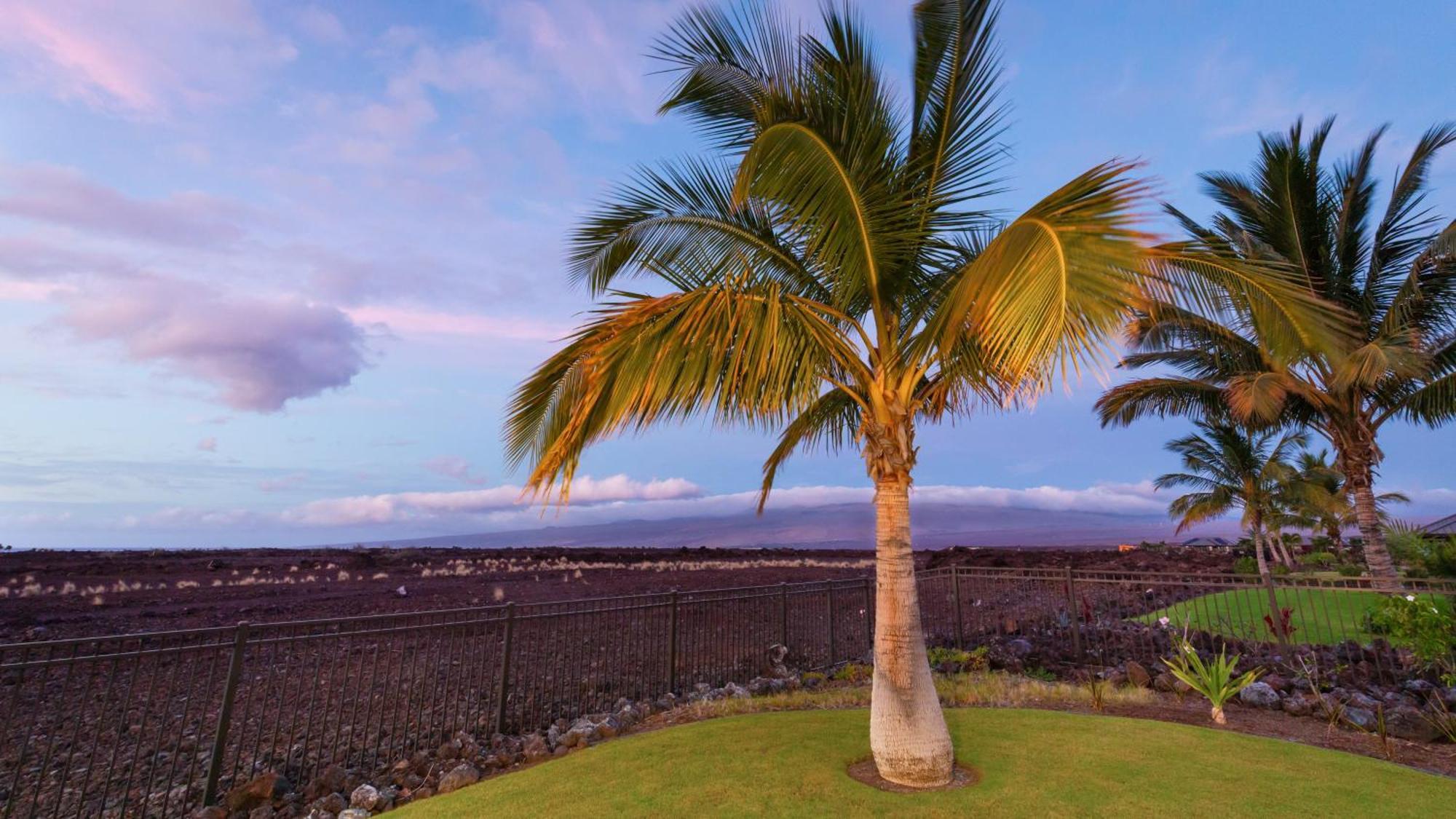 Starry Nights Dreamy 4Br Ainamalu Home With Mountain View Waikoloa Luaran gambar