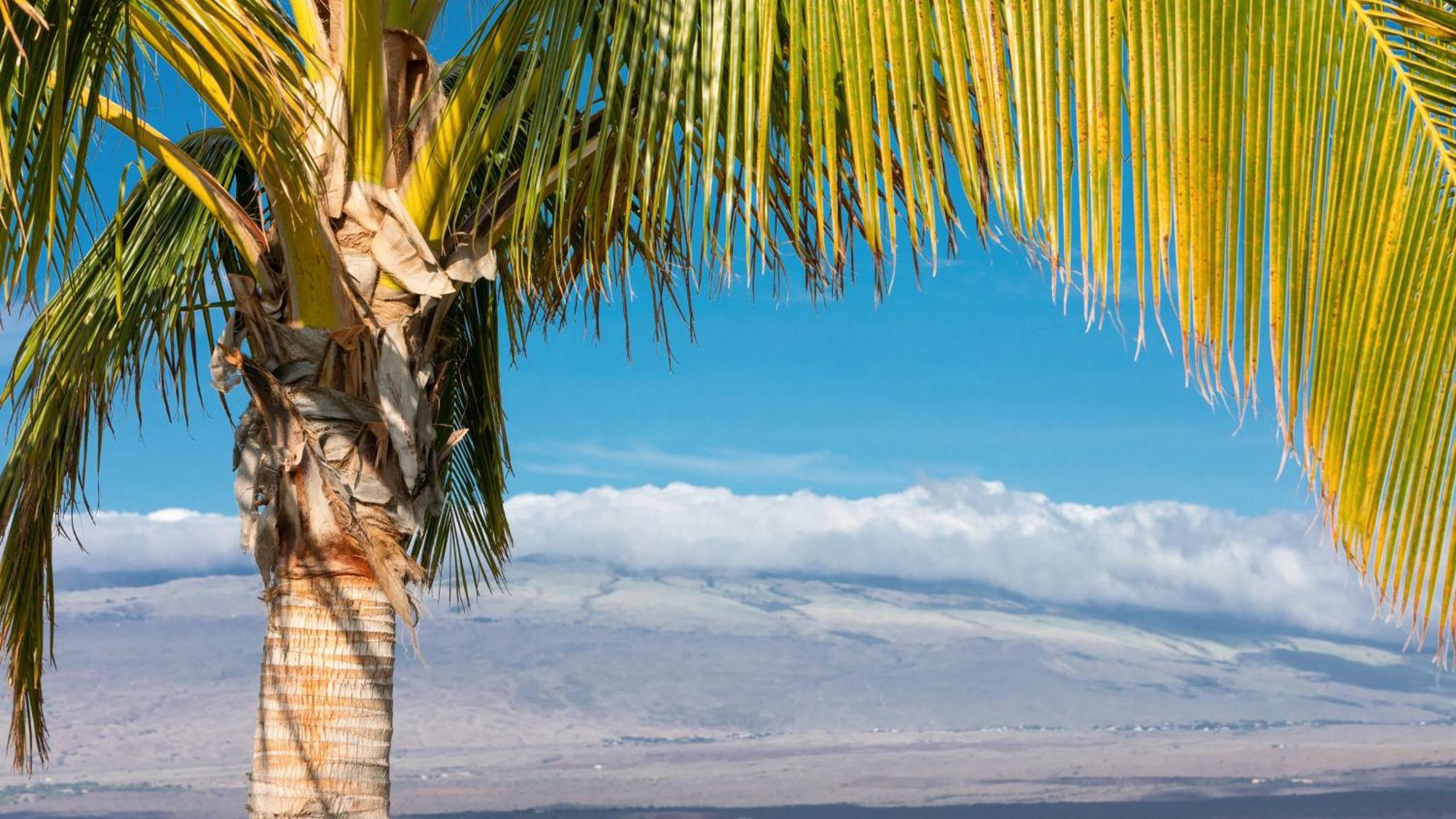Starry Nights Dreamy 4Br Ainamalu Home With Mountain View Waikoloa Luaran gambar
